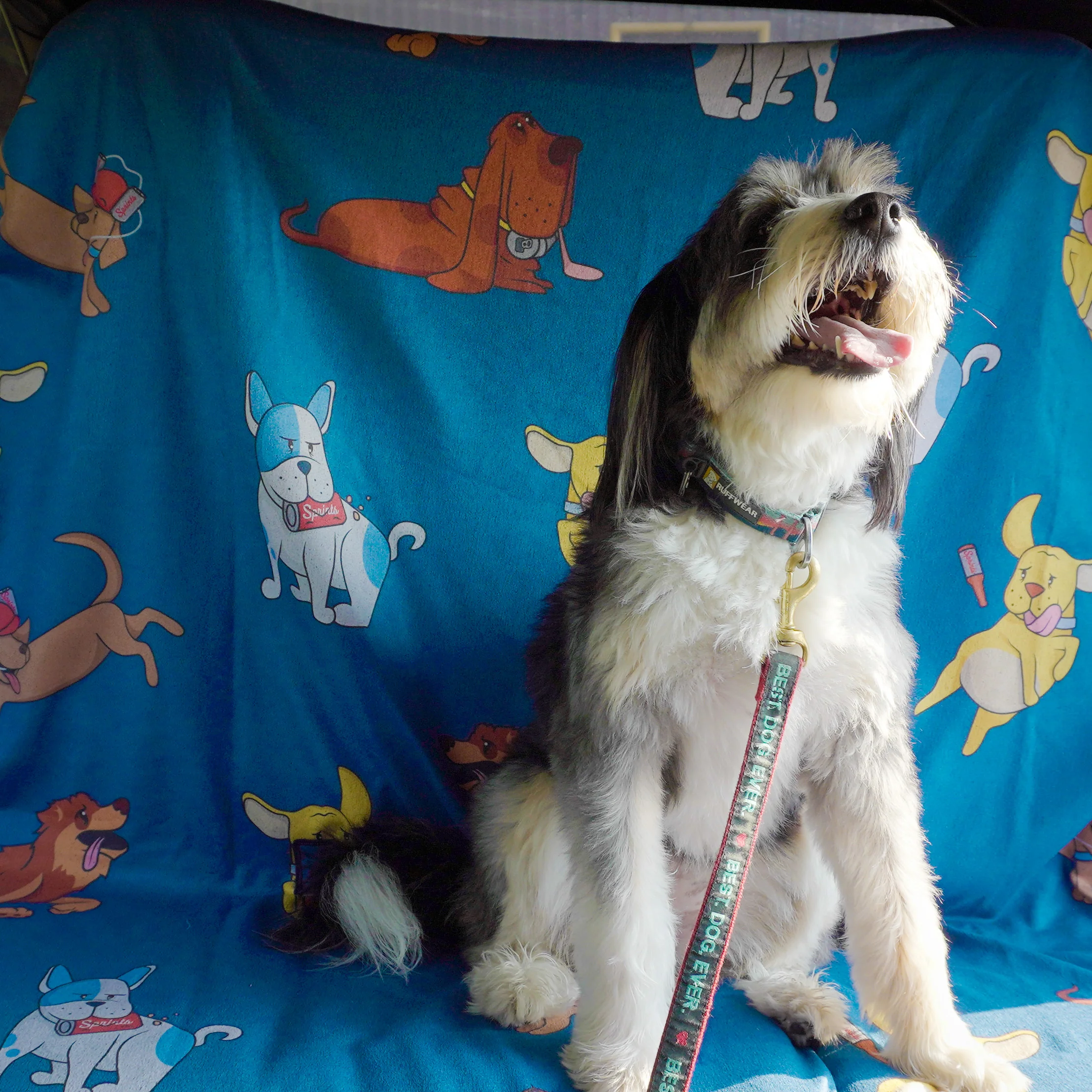 Hair of the Dog Blue Party Size Towel - Image 4