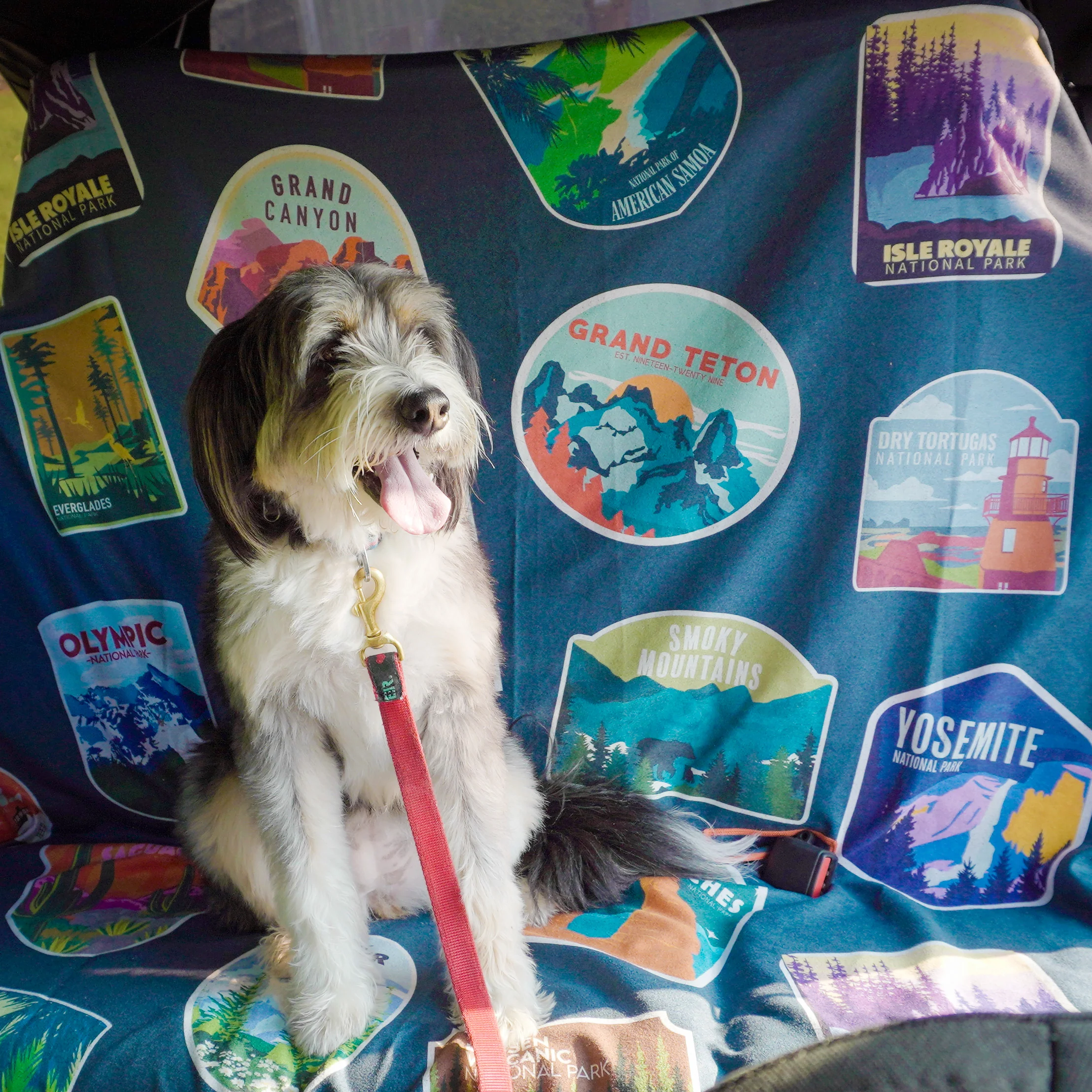 National Parks Party Size Towel - Image 4